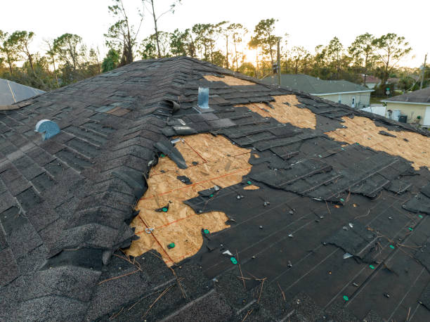 Professional Roofing Services in Oak Ridge North, TX